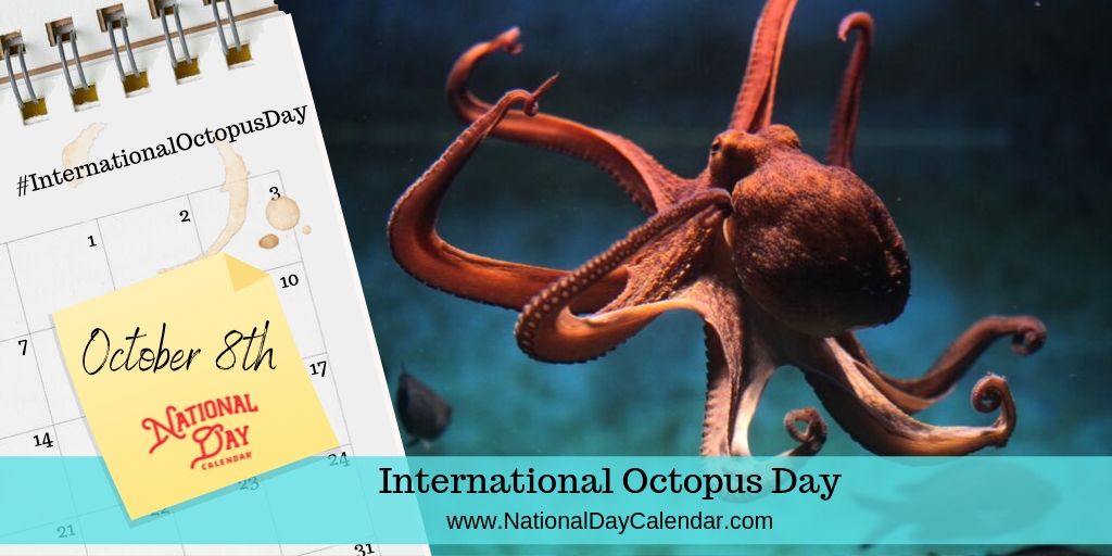 International Octopus Day 8 October Imageinations